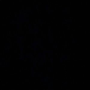 Meet your Posher, Isabella